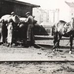 Oil factory started operating